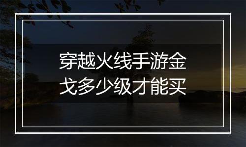 穿越火线手游金戈多少级才能买
