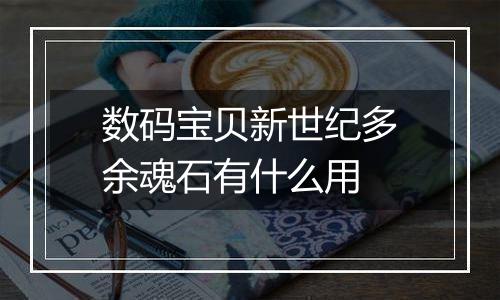 数码宝贝新世纪多余魂石有什么用