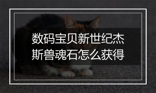 数码宝贝新世纪杰斯兽魂石怎么获得