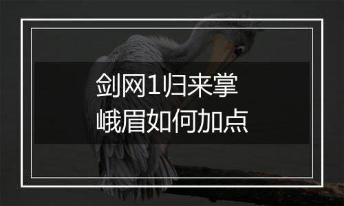 剑网1归来掌峨眉如何加点