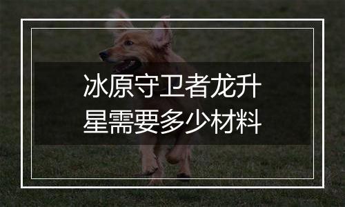 冰原守卫者龙升星需要多少材料