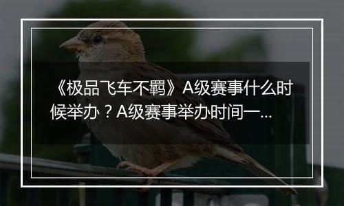 《极品飞车不羁》A级赛事什么时候举办？A级赛事举办时间一览