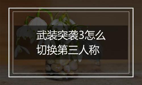 武装突袭3怎么切换第三人称