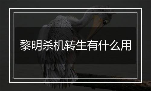 黎明杀机转生有什么用