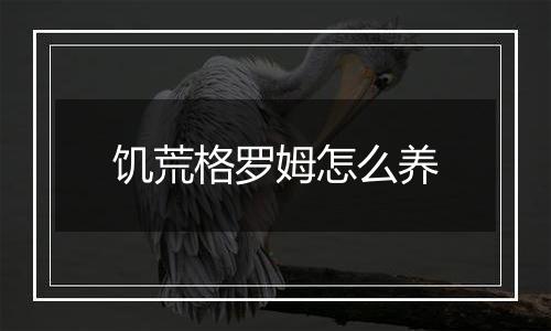 饥荒格罗姆怎么养