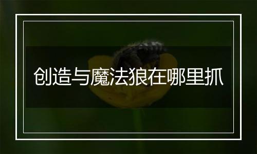 创造与魔法狼在哪里抓