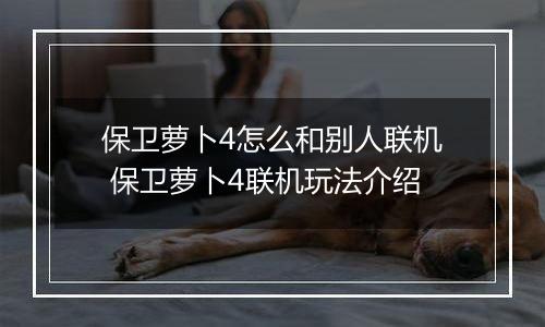 保卫萝卜4怎么和别人联机 保卫萝卜4联机玩法介绍