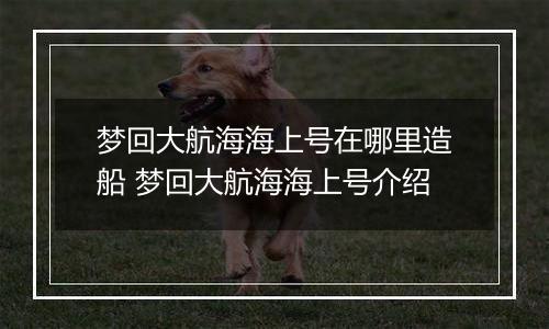梦回大航海海上号在哪里造船 梦回大航海海上号介绍