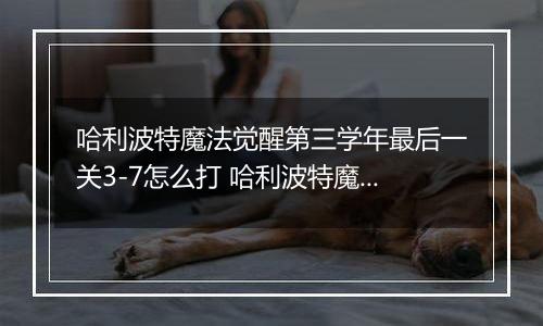 哈利波特魔法觉醒第三学年最后一关3-7怎么打 哈利波特魔法觉醒第三学年最后一关3-7通关攻略