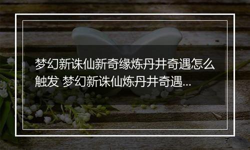 梦幻新诛仙新奇缘炼丹井奇遇怎么触发 梦幻新诛仙炼丹井奇遇触发攻略