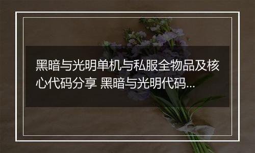 黑暗与光明单机与私服全物品及核心代码分享 黑暗与光明代码怎样用