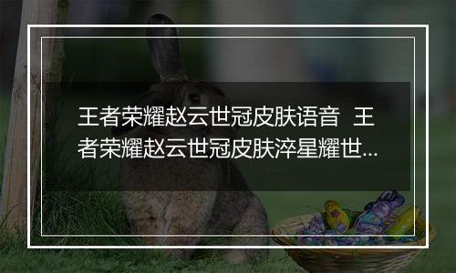 王者荣耀赵云世冠皮肤语音  王者荣耀赵云世冠皮肤淬星耀世语音台词