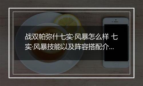 战双帕弥什七实·风暴怎么样 七实·风暴技能以及阵容搭配介绍
