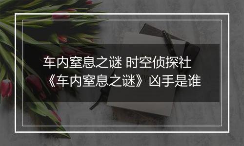 车内窒息之谜 时空侦探社《车内窒息之谜》凶手是谁