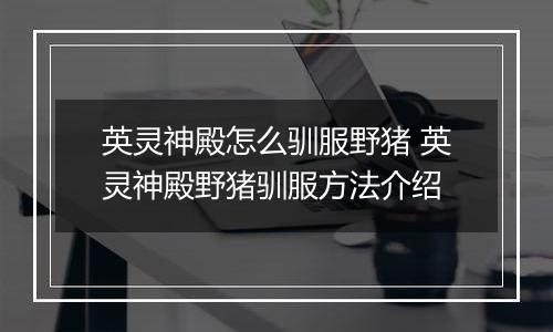 英灵神殿怎么驯服野猪 英灵神殿野猪驯服方法介绍