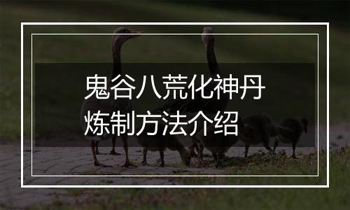 鬼谷八荒化神丹炼制方法介绍