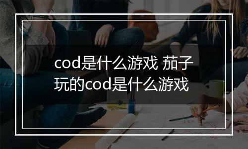 cod是什么游戏 茄子玩的cod是什么游戏