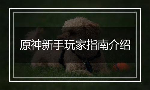 原神新手玩家指南介绍