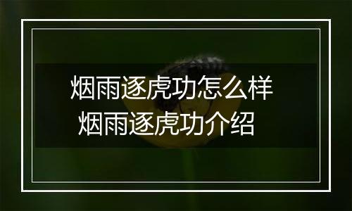 烟雨逐虎功怎么样  烟雨逐虎功介绍