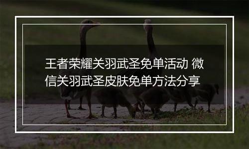 王者荣耀关羽武圣免单活动 微信关羽武圣皮肤免单方法分享