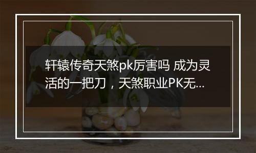 轩辕传奇天煞pk厉害吗 成为灵活的一把刀，天煞职业PK无敌技巧