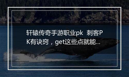 轩辕传奇手游职业pk  刺客PK有诀窍，get这些点就能赢