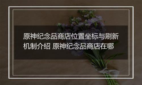 原神纪念品商店位置坐标与刷新机制介绍 原神纪念品商店在哪