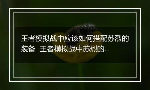 王者模拟战中应该如何搭配苏烈的装备  王者模拟战中苏烈的装备搭配推荐