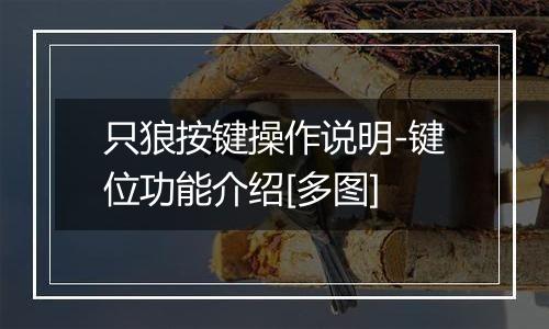只狼按键操作说明-键位功能介绍[多图]