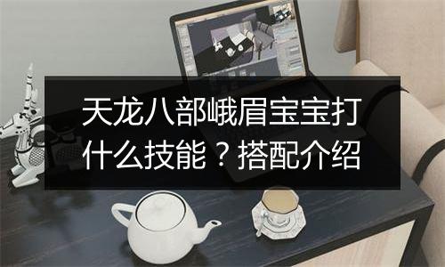 天龙八部峨眉宝宝打什么技能？搭配介绍