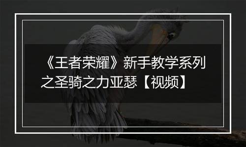 《王者荣耀》新手教学系列之圣骑之力亚瑟【视频】