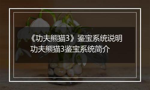 《功夫熊猫3》鉴宝系统说明 功夫熊猫3鉴宝系统简介