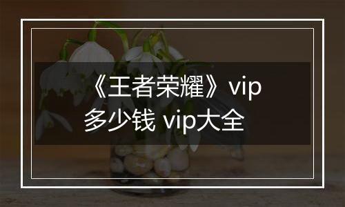 《王者荣耀》vip多少钱 vip大全