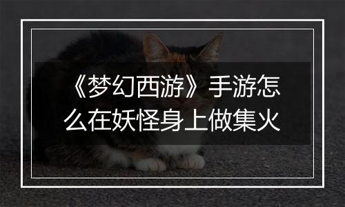 《梦幻西游》手游怎么在妖怪身上做集火