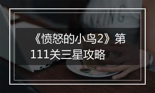 《愤怒的小鸟2》第111关三星攻略