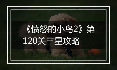 《愤怒的小鸟2》第120关三星攻略