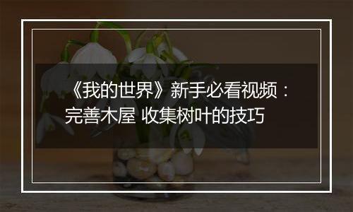 《我的世界》新手必看视频：完善木屋 收集树叶的技巧