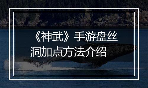 《神武》手游盘丝洞加点方法介绍