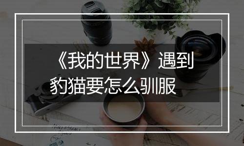 《我的世界》遇到豹猫要怎么驯服