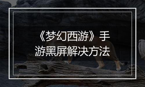 《梦幻西游》手游黑屏解决方法