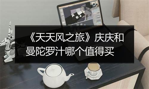 《天天风之旅》庆庆和曼陀罗汁哪个值得买