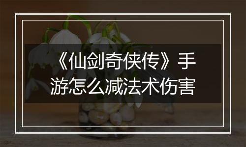 《仙剑奇侠传》手游怎么减法术伤害