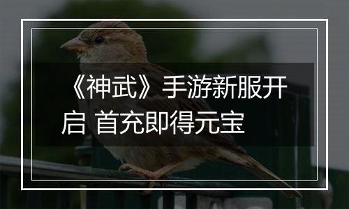 《神武》手游新服开启 首充即得元宝