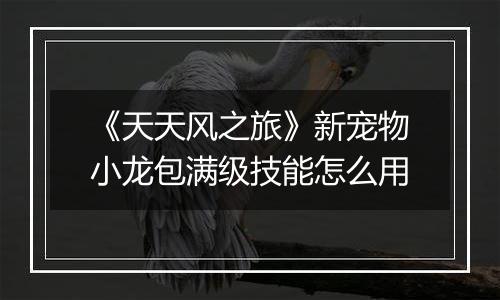 《天天风之旅》新宠物小龙包满级技能怎么用