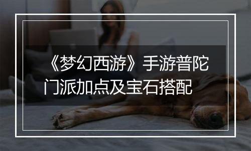 《梦幻西游》手游普陀门派加点及宝石搭配