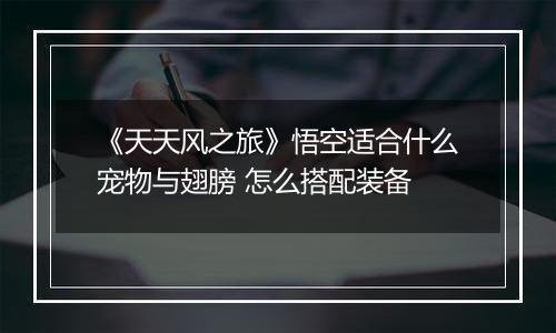 《天天风之旅》悟空适合什么宠物与翅膀 怎么搭配装备