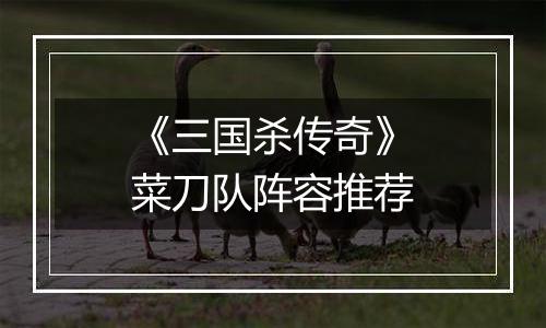 《三国杀传奇》菜刀队阵容推荐