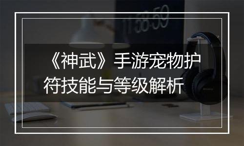 《神武》手游宠物护符技能与等级解析