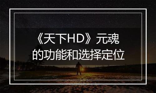 《天下HD》元魂的功能和选择定位