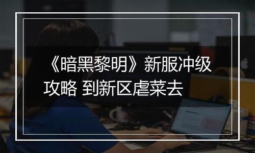 《暗黑黎明》新服冲级攻略 到新区虐菜去